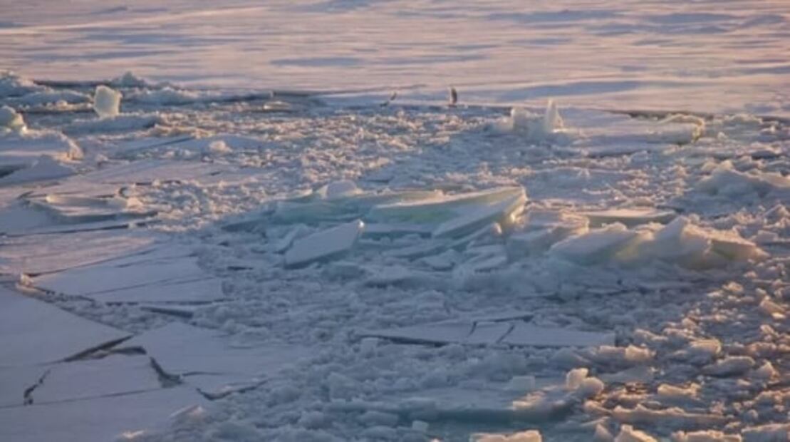 El cambio climático y el aumento de temperatura alcanza a las "regiones inmunes" del Ártico