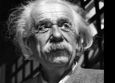 En carta inédita, Einsten anticipó conexión física de la orientación en aves y abejas