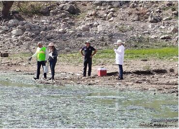 Analizan contaminantes de la Presa Madín; esperan obtener resultados de toxicidad en 20 días