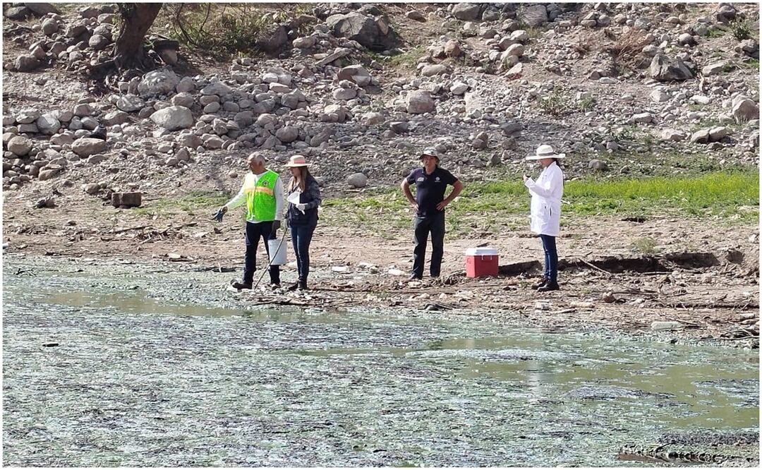 En una nota informativa del Departamento de Calidad del Agua de Sapasa, se dio a conocer la preocupación por la calidad del agua de la Presa Madín, por lo que ya se realizan estudios del agua “para determinar el grado de toxicidad”. Foto: Especial