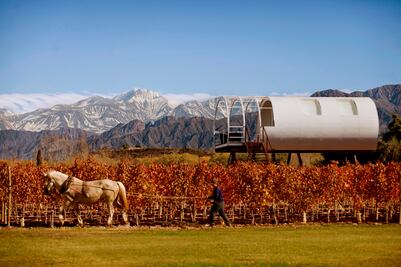 9 curiosidades sobre la tierra del malbec