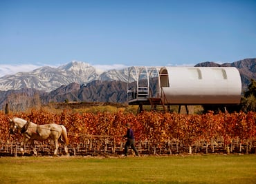 9 curiosidades sobre la tierra del malbec