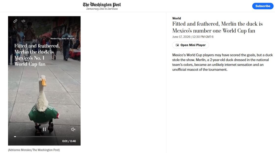 Pato Merlín. Foto: Washington Post