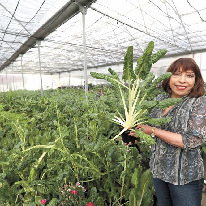 Asociación abre opciones para jóvenes con clases de cultivo bCrean espacio en antiguo tiradero de basura en Toluca. JORGE ALVARADO. EL UNIVERSAL