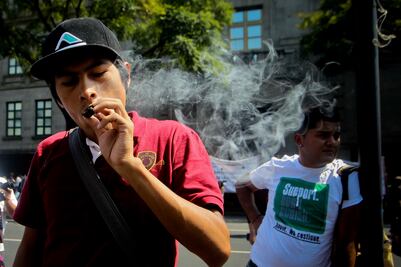 Corte ampara a colectivo para uso lúdico de marihuana