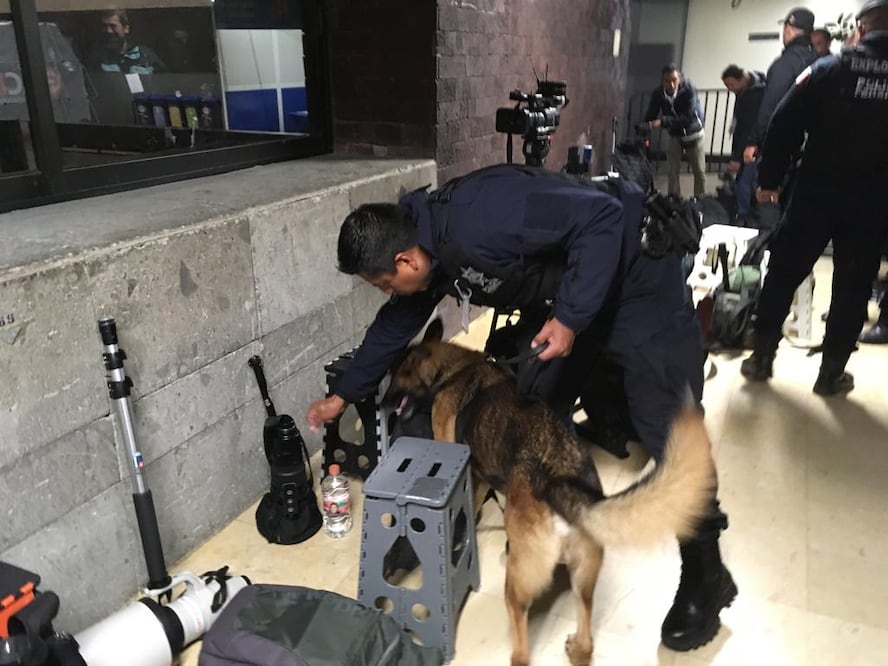 Binomios caninos buscan explosivos en la toma de protesta de AMLO. Foto: Jorge Serratos / EL UNIVERSAL