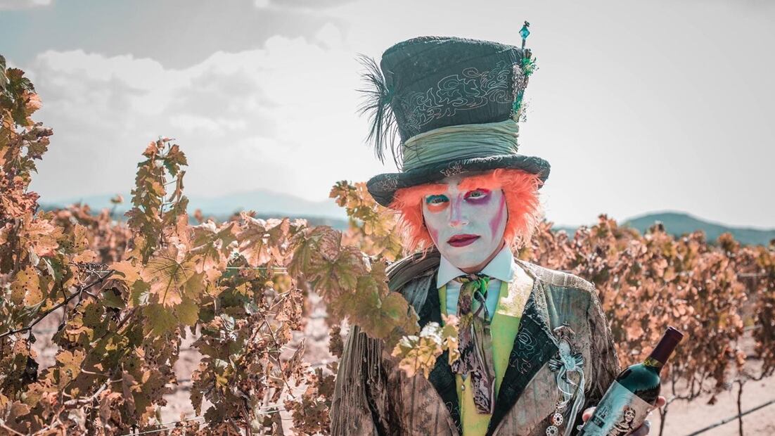 Foto: Facebook/Viñedos La Redonda