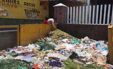 Scavenging food to survive