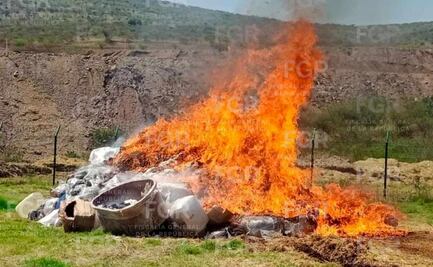 Destruye FGR más de tres toneladas de narcóticos y dos mil litros de metanfetamina en Michoacán; refuerzan combate al crimen