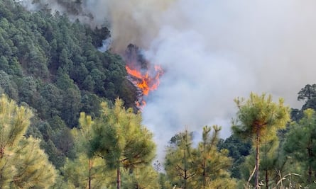 Combaten incendio forestal en la Sierra Negra de Puebla; ha consumido al menos 150 hectáreas de bosque 