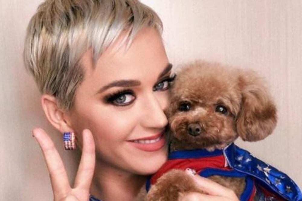 Katy Perry. Foto: Captura