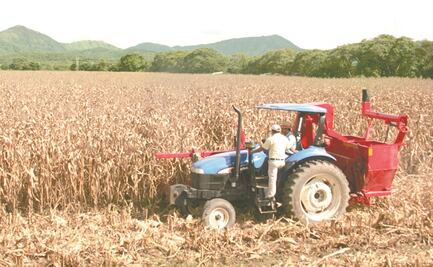 Van por fortalecer acciones colectivas