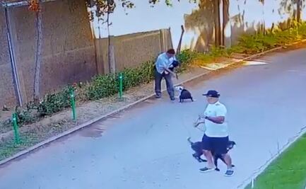 Hombre apunta con pistola a un perro en Sinaloa