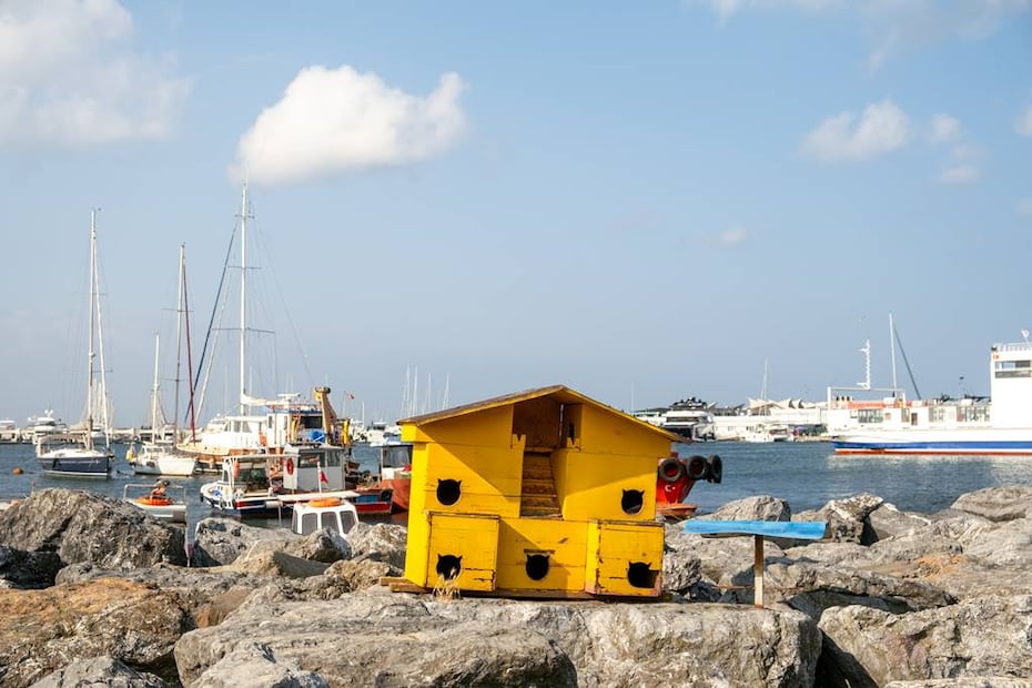 En muchas partes verás estas casetas para que los gatos se protejan de la lluvia y el frío. Foto: iStock