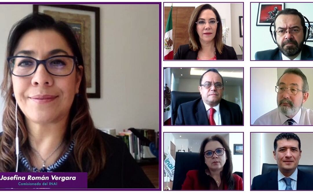 La comisionada Josefina Román Vergara presentó el caso ante el Pleno. Foto: Especial