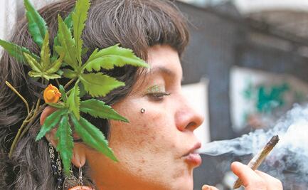 Inicia discusión de regulación de la marihuana en comisiones del Senado