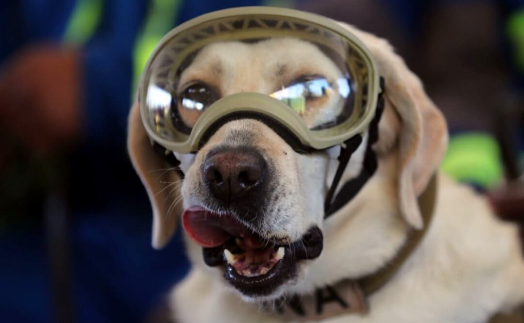 Foto: Juan Carlos Reyers EL UNIVERSAL