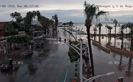 Tormenta eléctrica con fuertes vientos afecta a BCS; deja embarcaciones varadas, árboles y postes caídos