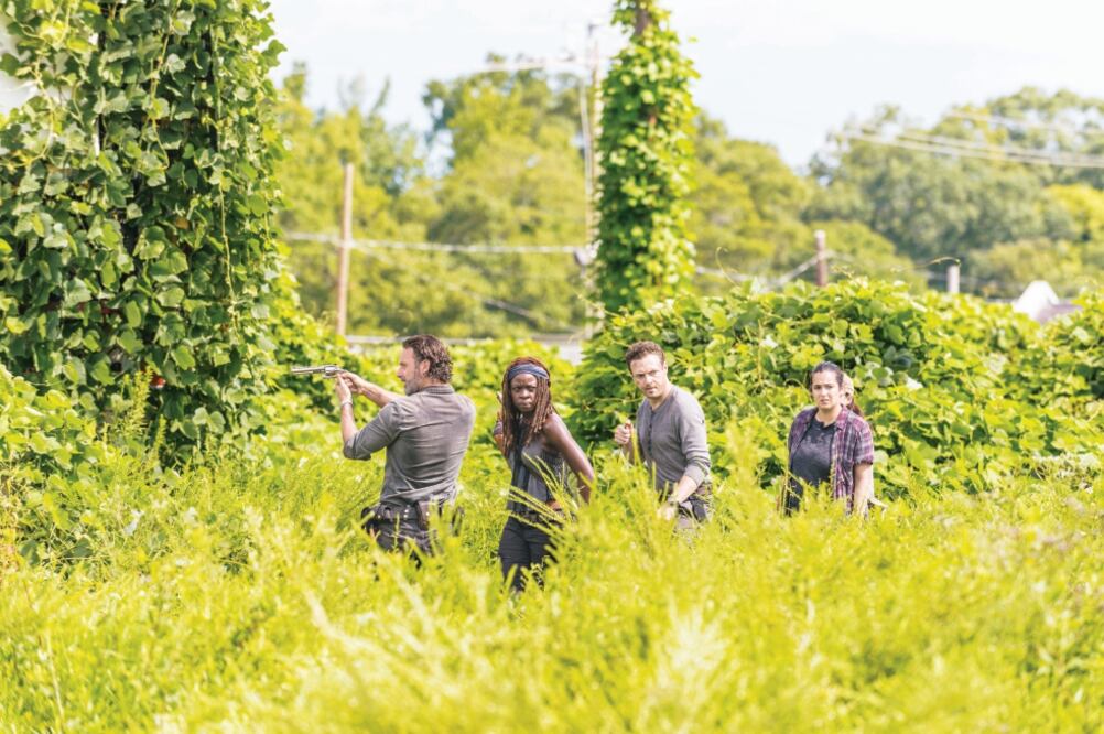 La segunda parte de la séptima temporada se estrena hoy a través de FOX1 a las 20:30 horas (FOTOS: FOX)
