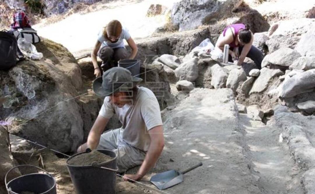 Las semillas localizadas por los arqueólogos permiten conocer las prioridades alimenticias de aquellos tiempos. FOTO: EFE.