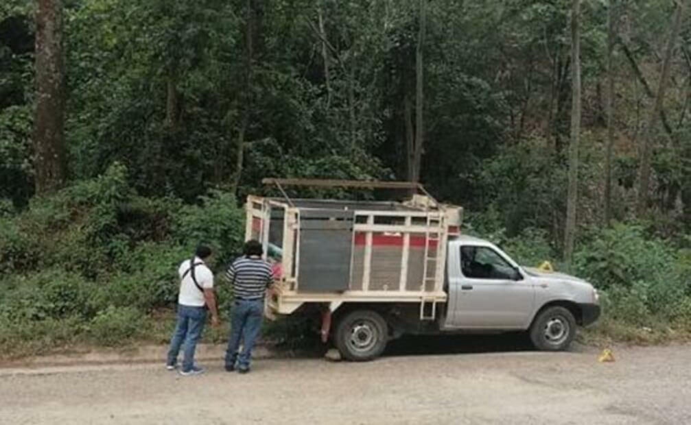 Atacan a balazos a familia triqui en Oaxaca; mueren 5, entre ellos 2 menores