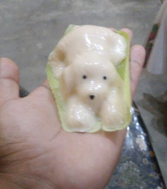 Estudiante vende gelatinas para pagar sus viajes a la CDMX e ir a diplomado