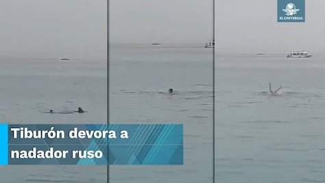Terror en el mar. Tiburón ataca y mata a nadador ruso