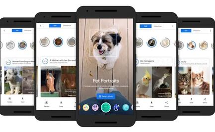 “Pet Portraits” de Google encontrará al gemelo artístico de tu mascota 