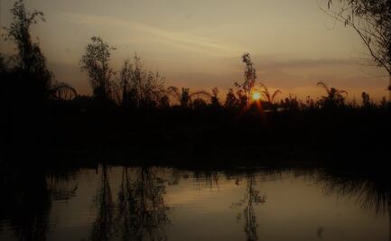Cuánto cuesta el recorrido para ver el amanecer en Xochimilco