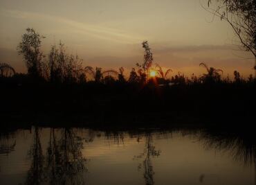 Cuánto cuesta el recorrido para ver el amanecer en Xochimilco