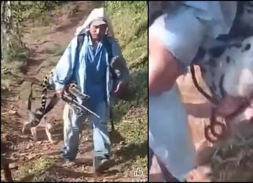 Influencer ofrece recompensa para localizar a persona ayuujk que presuntamente mató a un jaguar en Oaxaca; activista denuncia racismo