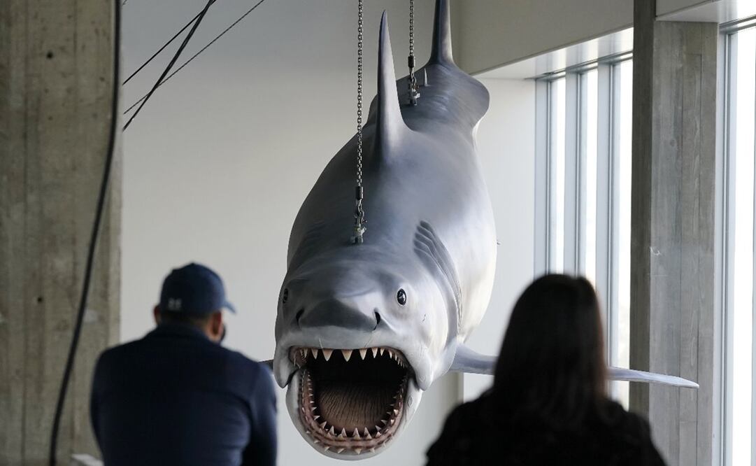 Bruce, el Tiburón de Spielberg. Foto: AP