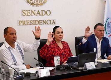 Frenan designación de comisionados del Inai