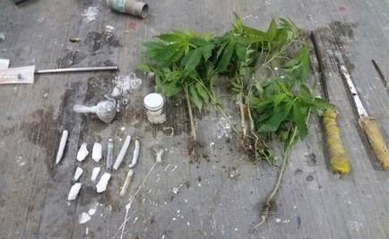 Catean penal en Morelos y decomisan plantas de marihuana