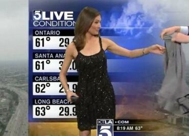 Weather anchor's dress causes social media firestorm