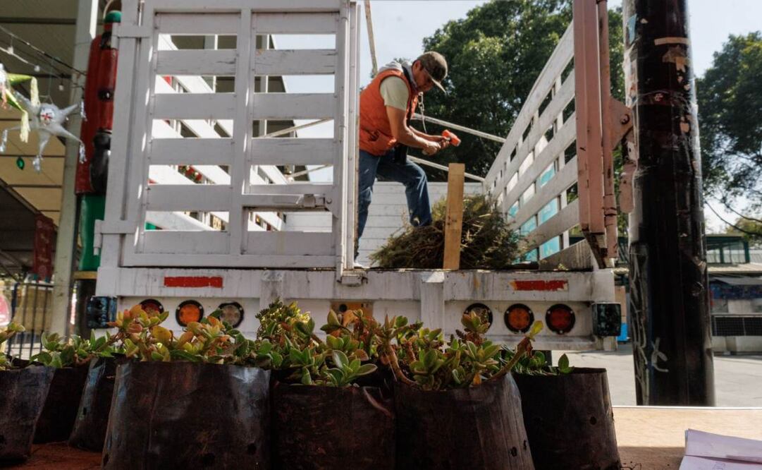 Iztapalapa se une a la recolección de árboles navideños (07/01/2025). Foto: Yaretzi M. Osnaya  / EL UNIVERSAL