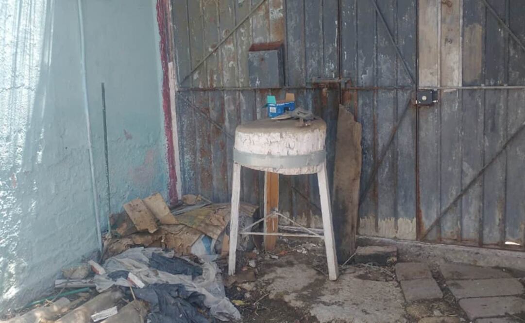 Por estos hechos fueron detenidas dos personas quienes supuestamente mataban a los perros. Foto: Especial