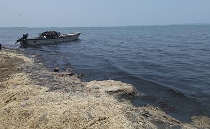 Contaminación y pestilencia alejan a turistas de Playa Vicente, Oaxaca
