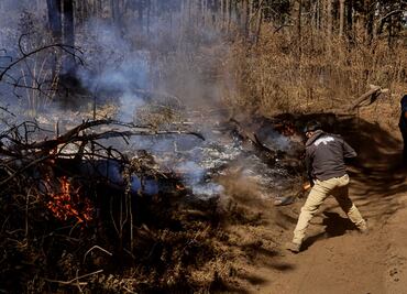 ¡México arde! Se reportan 130 incendios forestales en el país y más de 8 mil hectáreas afectadas