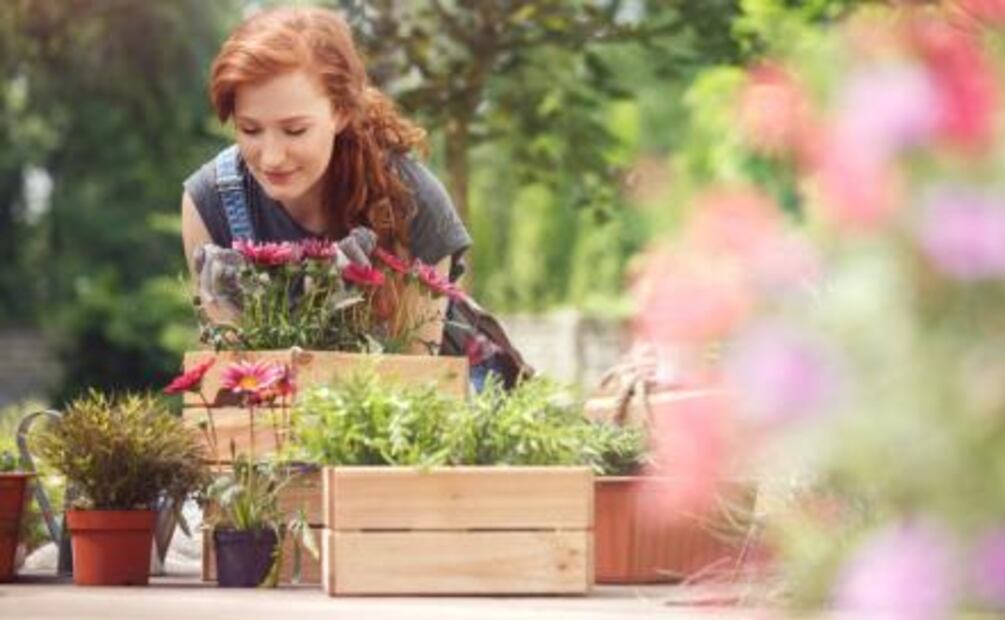 Viaja por el mundo ayudando a otros y consigue hospedaje gratis