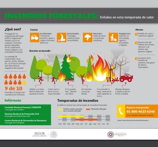 7 recomendaciones para evitar incendios forestales, según la CONAFOR