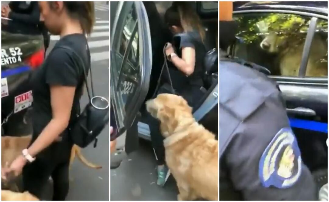 Fotografía: Especial