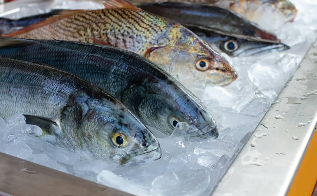 El pescado debe limpiarse bien antes de cocinarlo. Foto: Unsplash