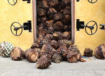 Tequila: la veta del oro líquido