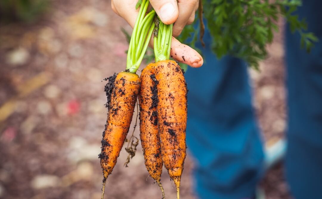 Foto: Markus Spiske / Pexels