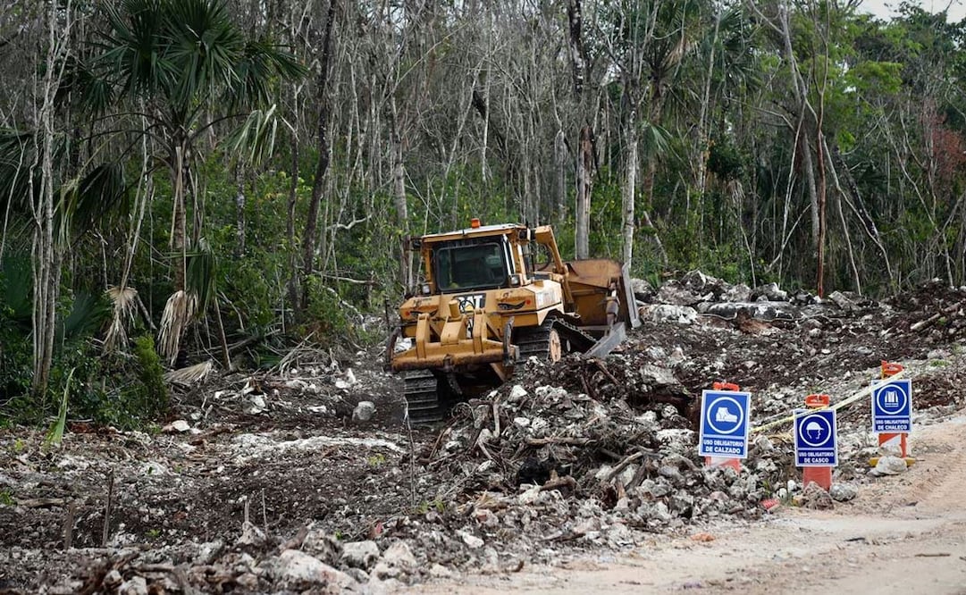 Foto ilustrativa: Archivo/EL UNIVERSAL