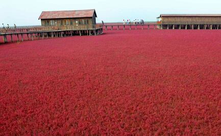 La fascinante Playa Roja que cambia de color