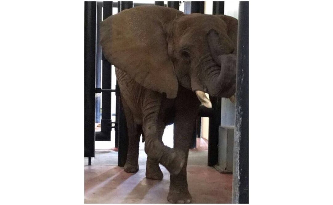 Archivo / EL UNIVERSAL