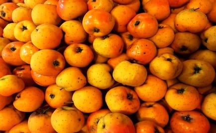 Health benefits of tejocotes