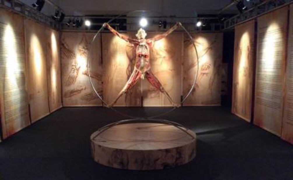 Espectáculo sobre anatomía causa desmayos